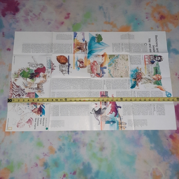 Vintage Map National Geographic USA Maryland Delaware West Virginia Virginia - Picture 4 of 5